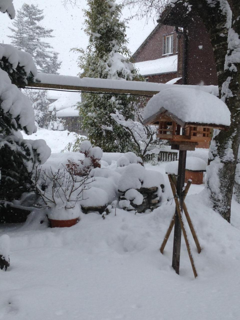 Ferienwohnung Milchgaessli Frutigen Exterior foto